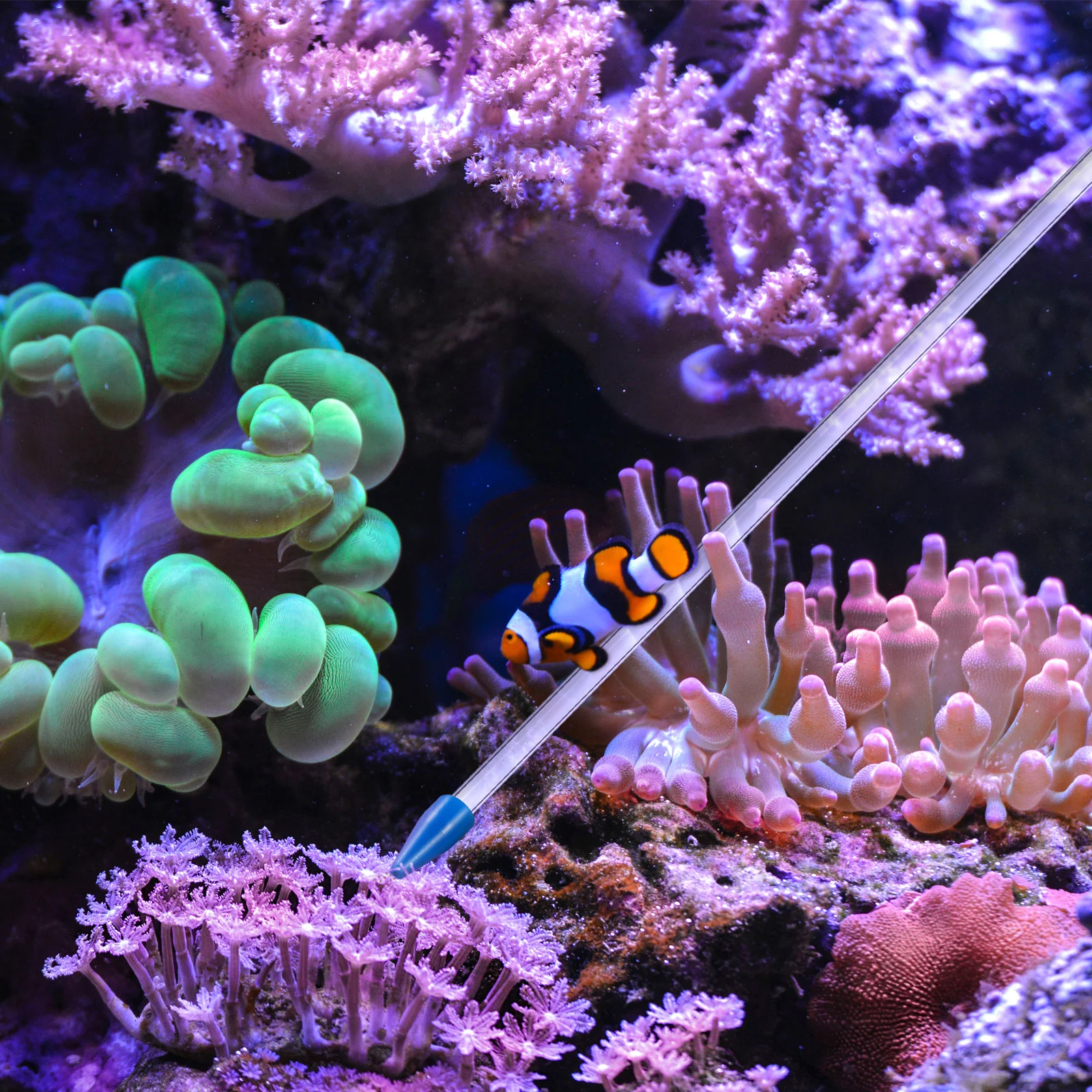 4811-e87890.jpg Alimentador de coral de silicona premium de 35 cm, tubo de alimentación acrílico para acuario de arrecife