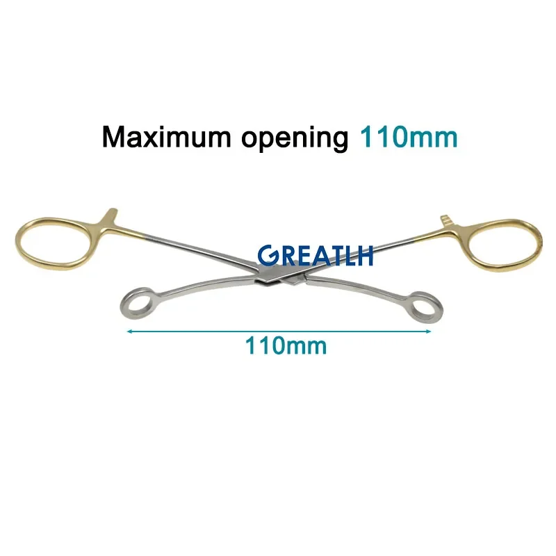 GREATLH Surgery Cotton Ball Forceps Oval Forceps Holding Cervical Forcep Veterinary Instruments