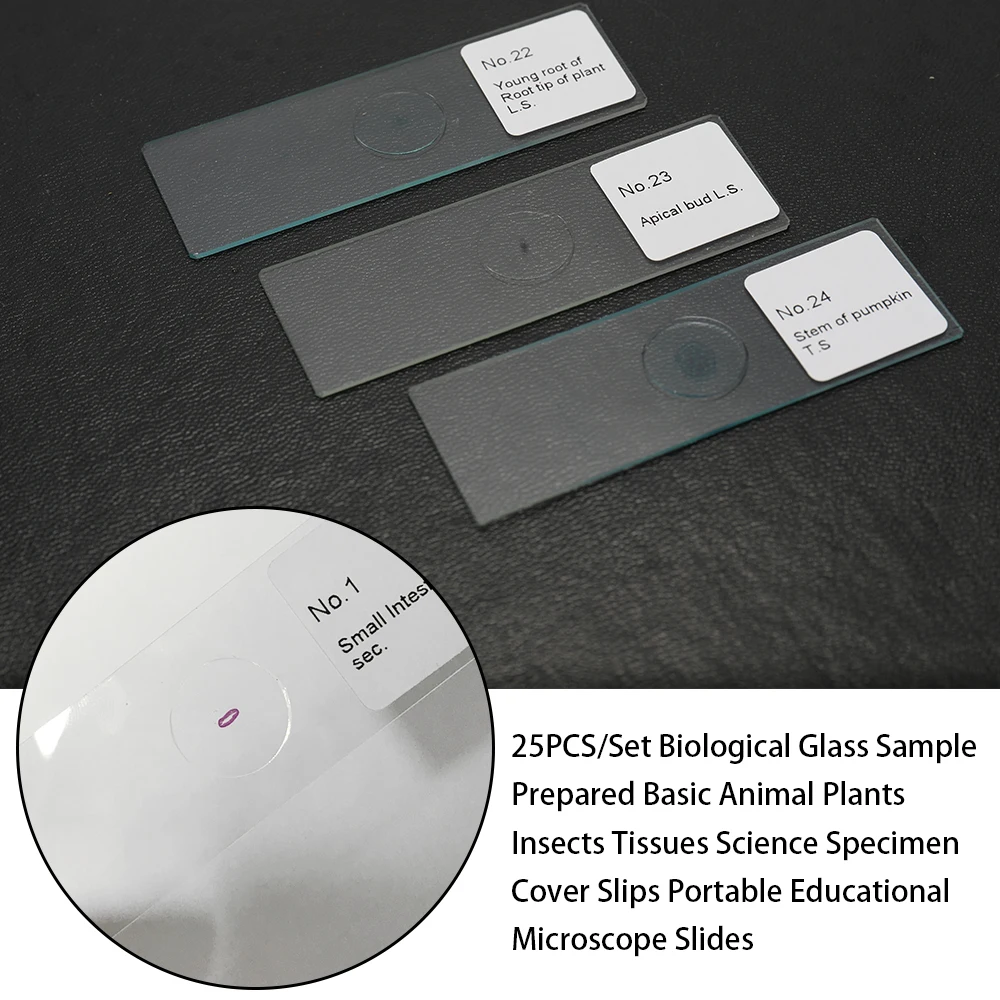 dsc-products