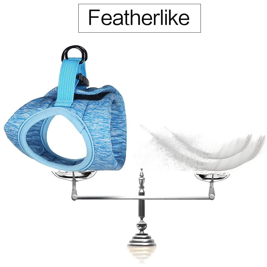 Adjustable Anti-Escape Kitten Harness – Lightweight Breathable Soft Cat Vest with Leash