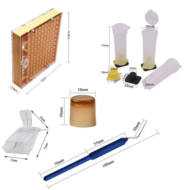 1set bee queen rearing king new plastic cells cages room cups cell cage cup bees tools beekeepers Kit