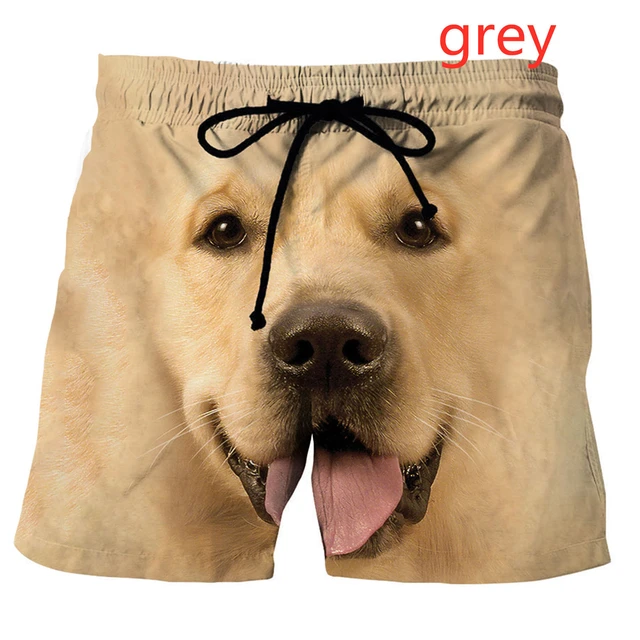 2022 New Fashion Pets Dog Casual 3D Printed Men's Shorts Summer