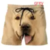 2022 New Fashion Pets Dog Casual 3D Printed Men's Shorts Summer Cute Funny Animal Shorts 1