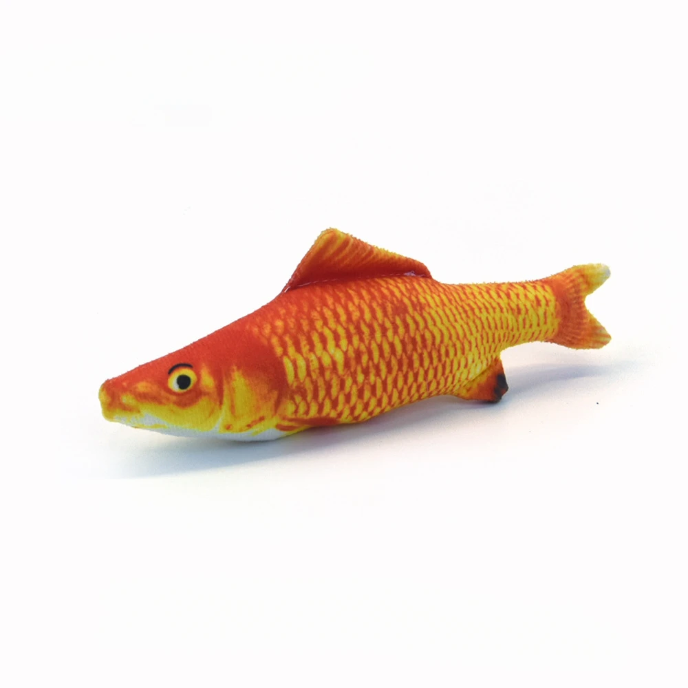 Carp