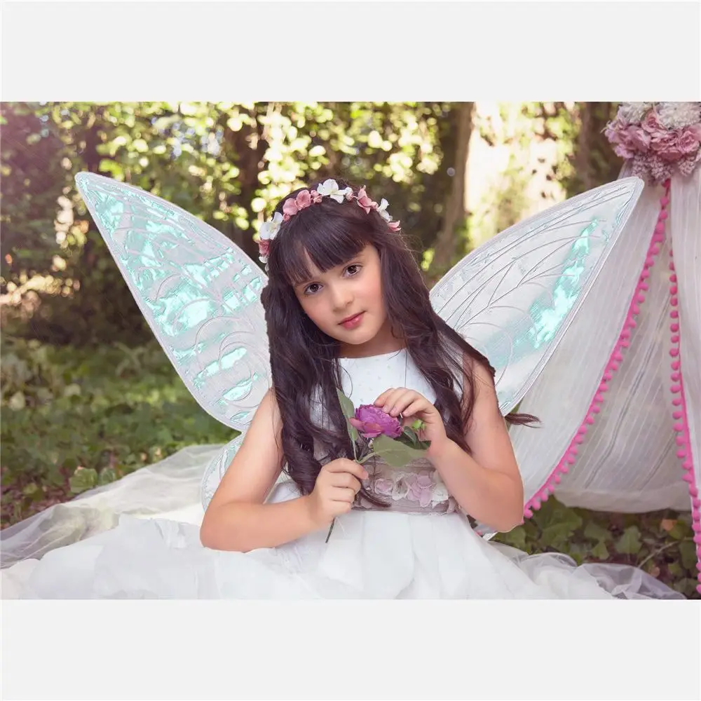 Butterfly Fairy Wings 4
