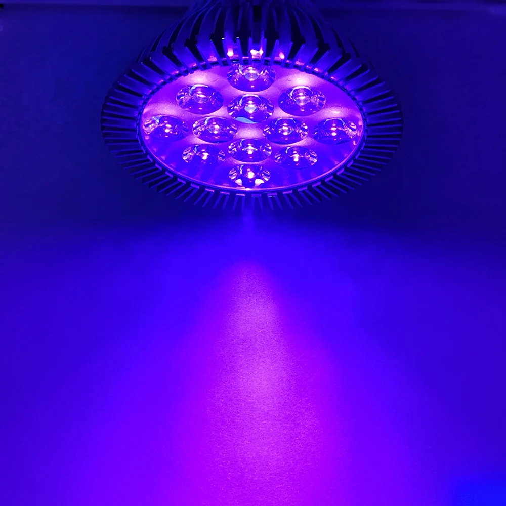 12W / 24W 395nm~400nm PAR38 UV Purple LED Lamp Spot Light Bulb for Curing Aquarium
