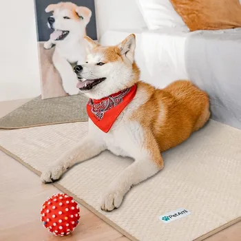 Waterproof Dog Blanket, Leakproof Puppy Blanket for Small Medium Dog, Furniture Sofa Couch Cover Protector, Fleece Pet Throw In 5