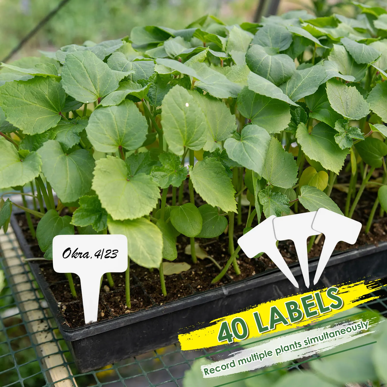 40Pcs Seed Grow Sponges Garden Hydroponic Seedling Starter Sponges with Plant Labels & Tweezers Replacement Root Growth Sponges