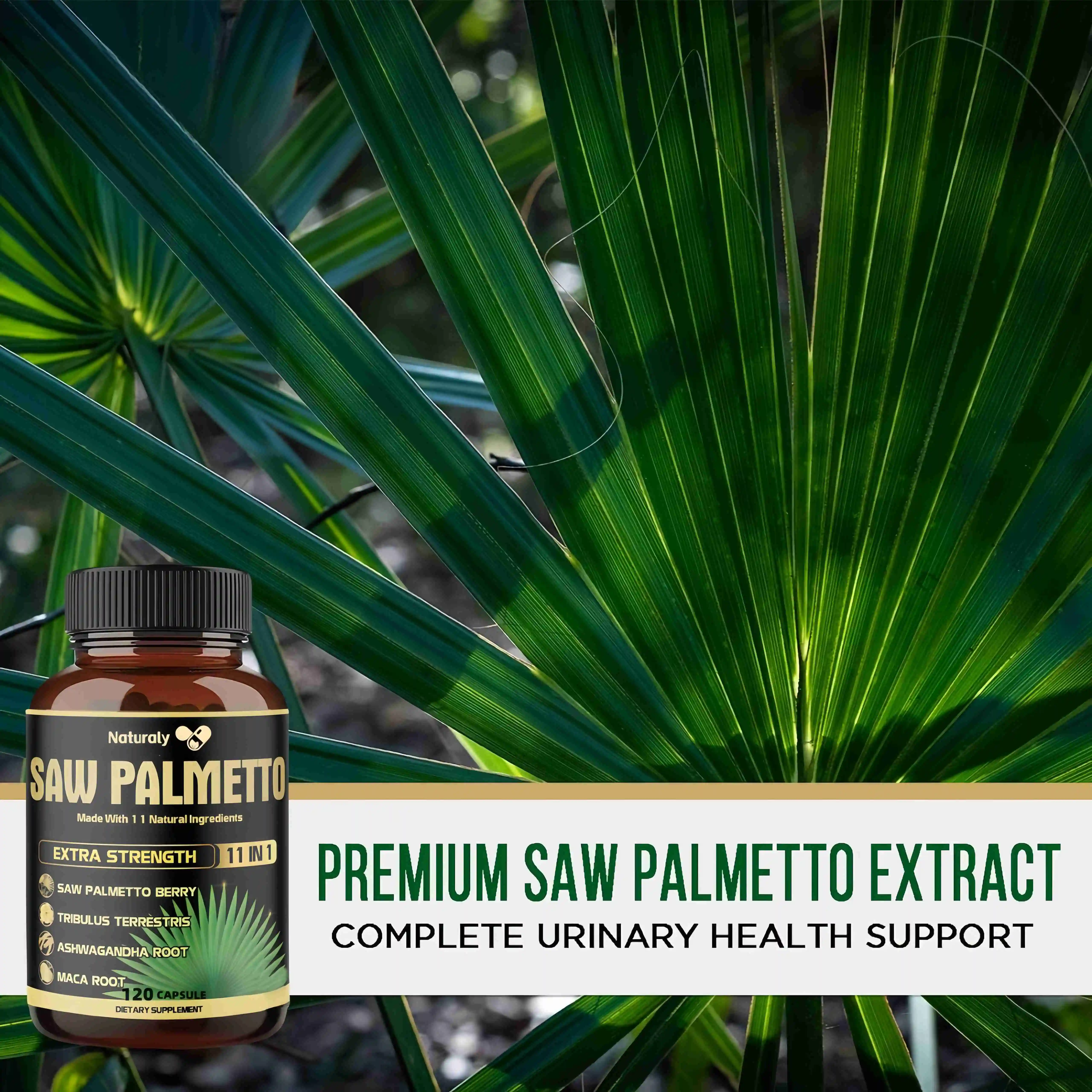 Saw Palm Extract Prostate Health Non GMO Gluten Free Formula