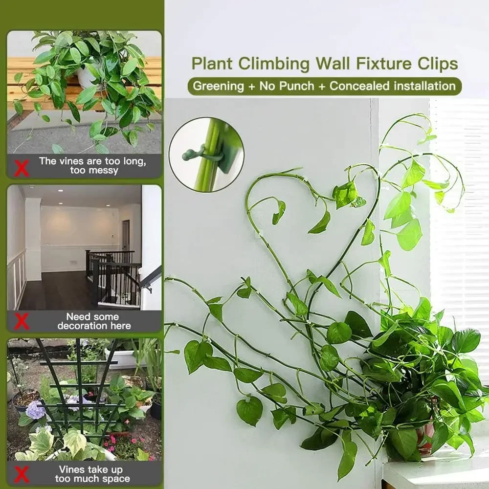 1-50Pcs Plant Climbing Wall Clip Acrylic Sticker Self-adhesive Hook Plant Vine Traction Fixator Indoor and Outdoor Decoration