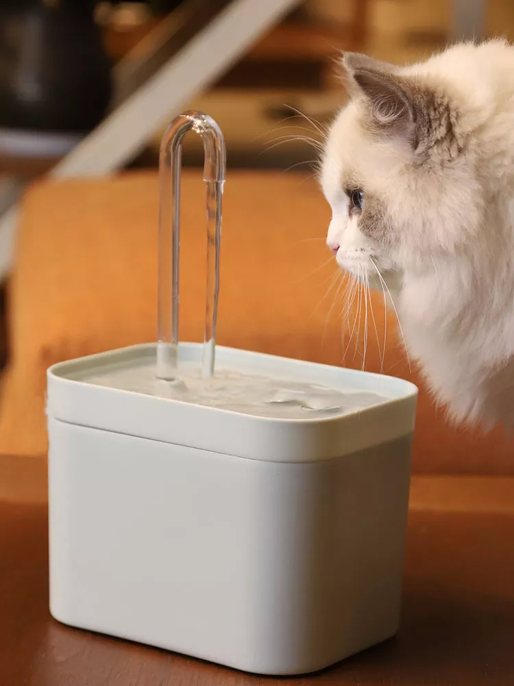 Ultra-Quiet Cat Water Fountain Filter Smart Automatic Pet Dog Water Dispenser&Burnout Prevention Pump1.5L Recirculate Filtrin