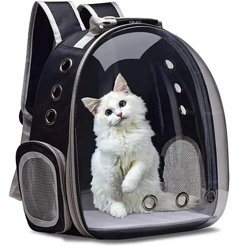 A cat carrying a backpack, a transparent bubble, a pet pet pet