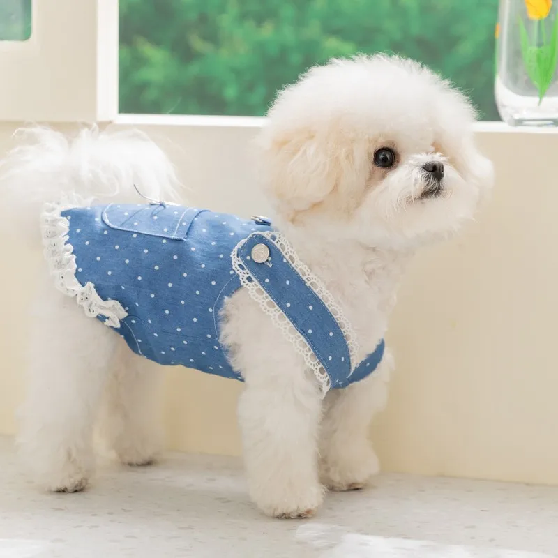 여름 데님 강아지 드레스 도트 무늬 리본 애완견 멜빵 고급 강아지 옷 고양이 의상 치와와 비숑 요키 여자 강아지 스커트 청바지 신상품