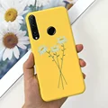 Case-c36