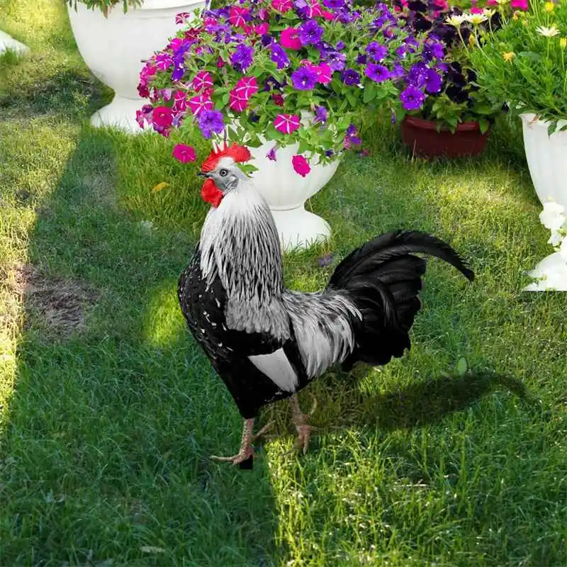 

Double-Sided Printing Rooster Inserting Cards Acrylic Courtyard Ground Insertion Realistic Chicken Artificial Statues
