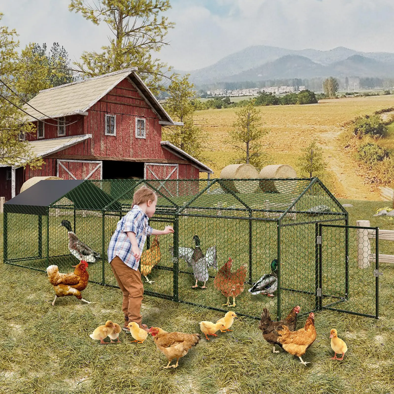 Heavy Duty Walk-in Metal Chicken Coop 2