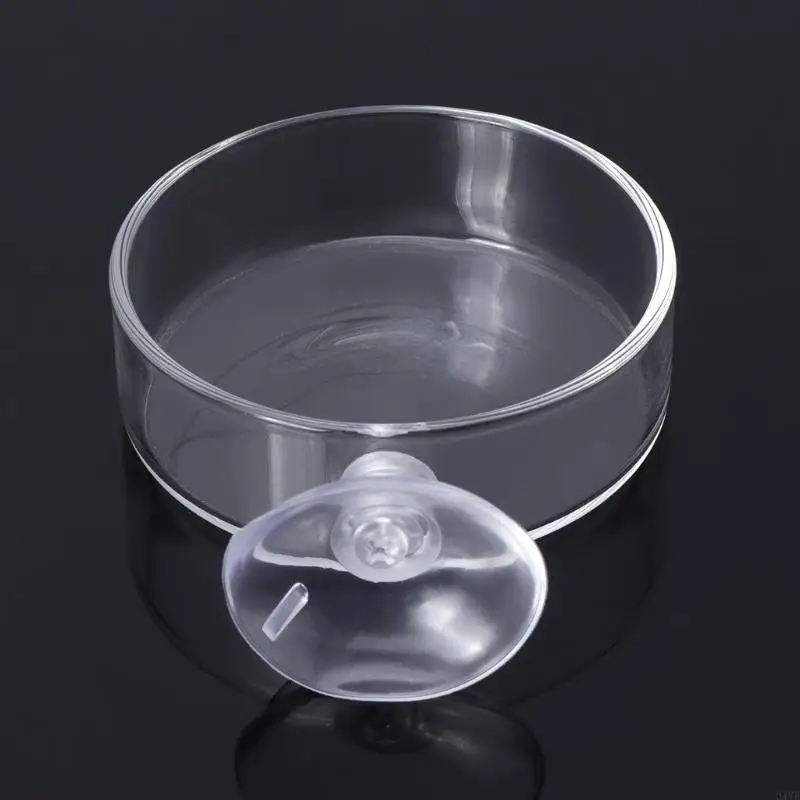 Shrimp Feeder Dish Clear Glass Feeding Tray Round Bowl with Suction Cup