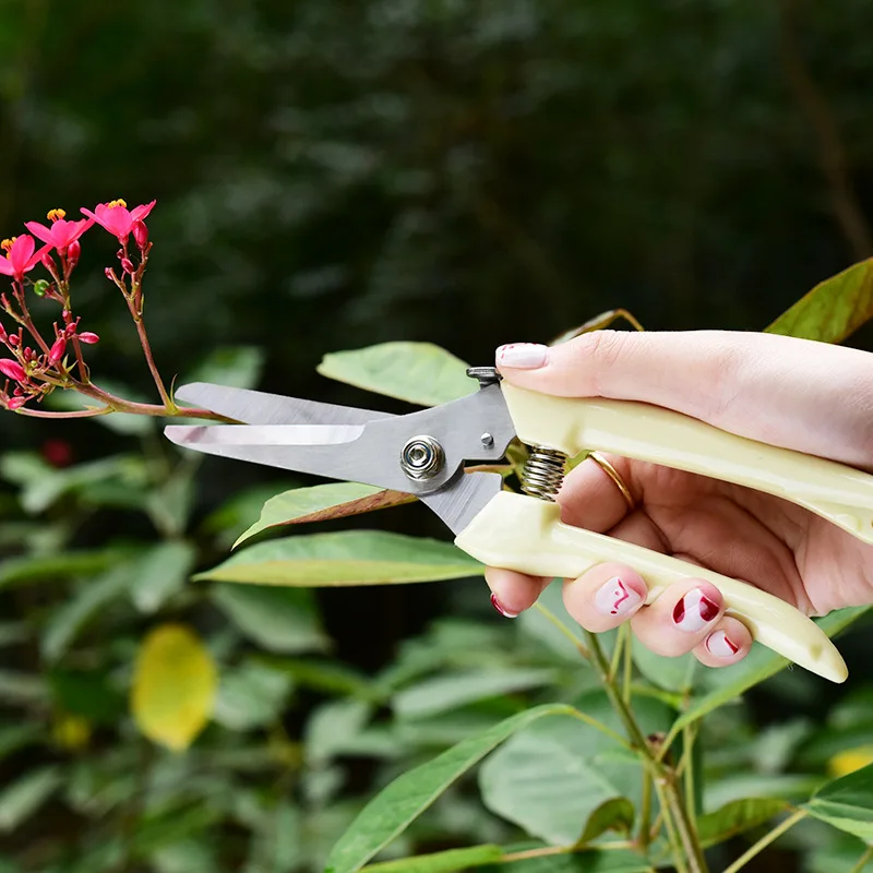 

Stainless Steel Garden Scissors Grafting Tool Fruit Tree Pruning Shears Bonsai Pruners Garden Shears Secateurs Scissor