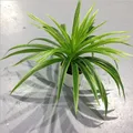 50 Leaves Green