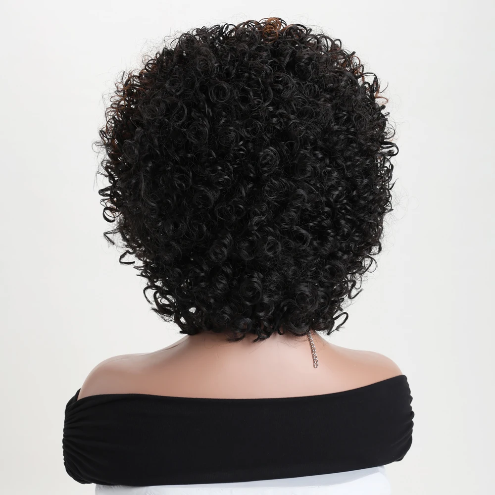 Natürliche synthetische kurze lockige schwarze Perücken für schwarze Damen, 12-Zoll-Perücke, tägliche Party, Halloween, hitzebeständiges Haar – Detail 13