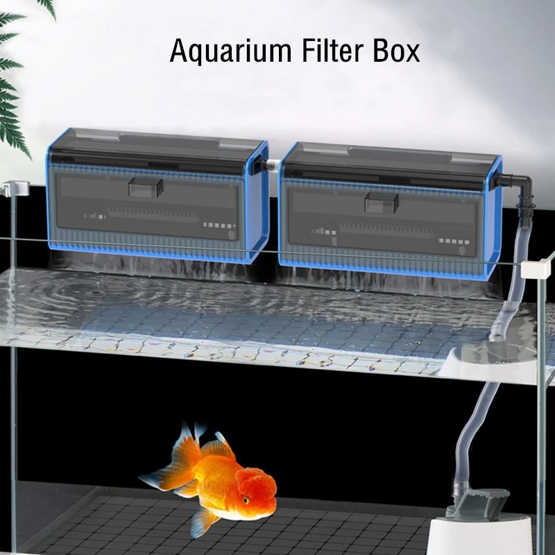 Glad Bij rijk Filter Saltwater Fish Tank | Aquarium Filter Fish Tank Box - Aquarium Water  Filter - Aliexpress