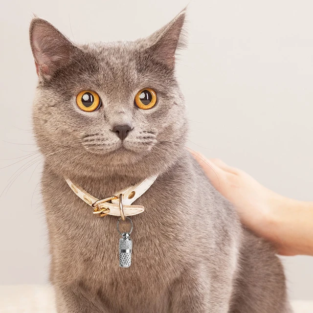 6pcs Pet ID Address Collar Pendant Dog Cat Storage Tube Anti Lost Address Label Mini Collar Tube Necklace Pendants For Puppy 2