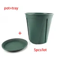 Pot and tray
