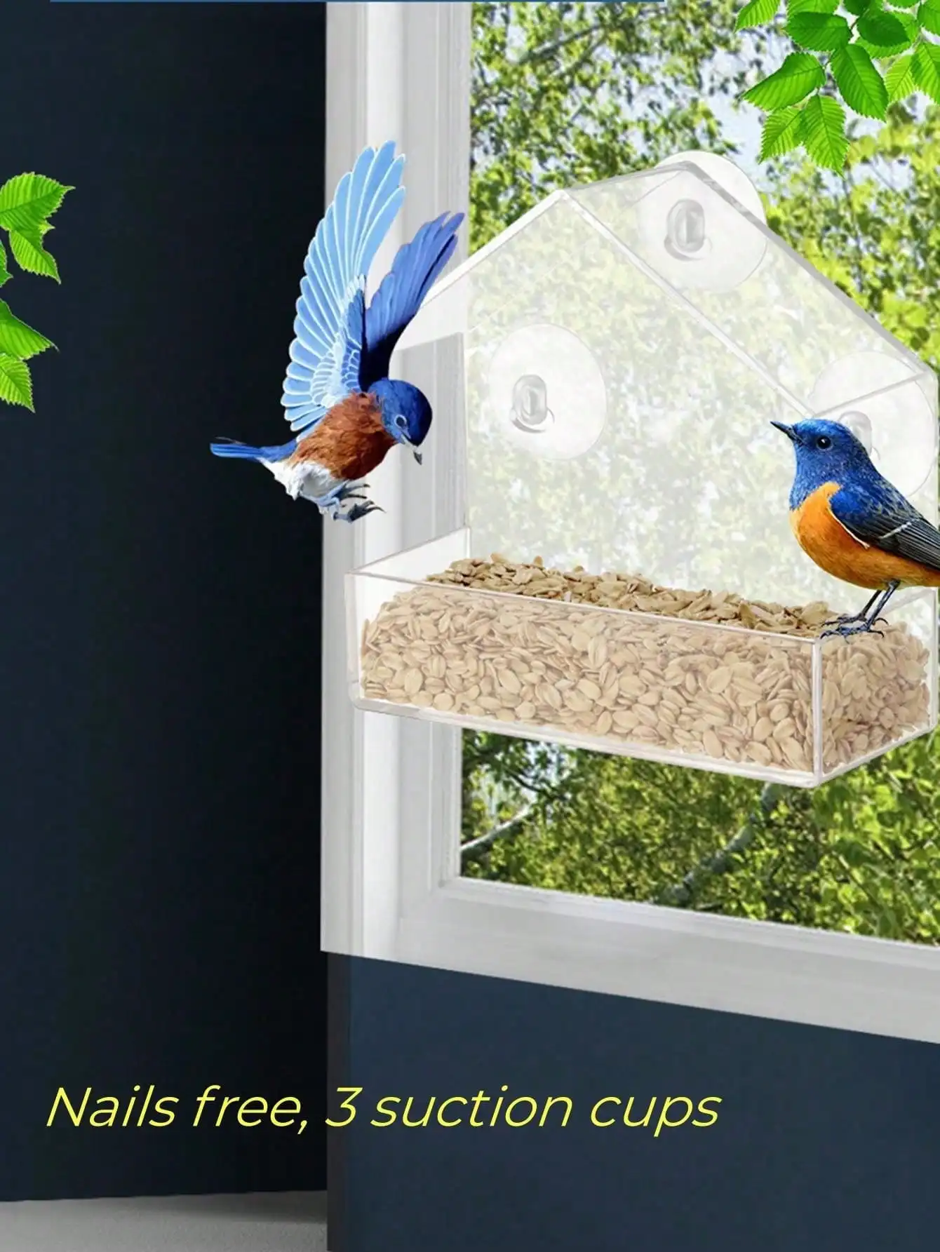 Acrylic Bird Feeder Clear Window Hanging House with Suction Cup For Garden Outdoor Backyard