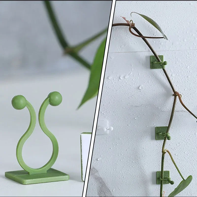 Plant Climbing Wall Clips Self-Adhesive Buckle Hook Fastener Tied Fixture Plant Stent Invisible Vine Climbing Fixed Bracket