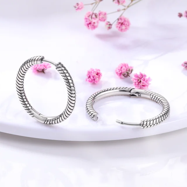 2022 Charm Double Hoop Earrings 925 Silver Sparkling Pave Stud Earring Gift For Women Engagement Jewelry Anniversary 3