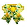 30pcs Small Dog Bow Ties Fruit Style Pet Supplies Pet Dog Bow Tie Summer Dogs Supplies Pet Dog Collar Accessories Puppy Bowties 5