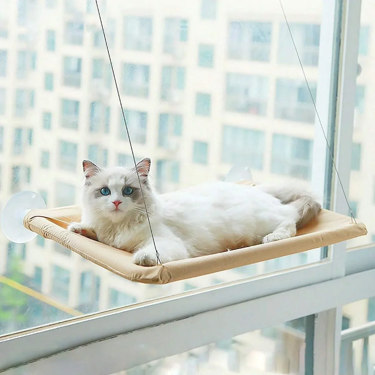 1pc-Pet Cat Hammock Suspended Cat Bed Cat Bed House Kitten Climbing Frame Clear Window Seat Pet Accessory