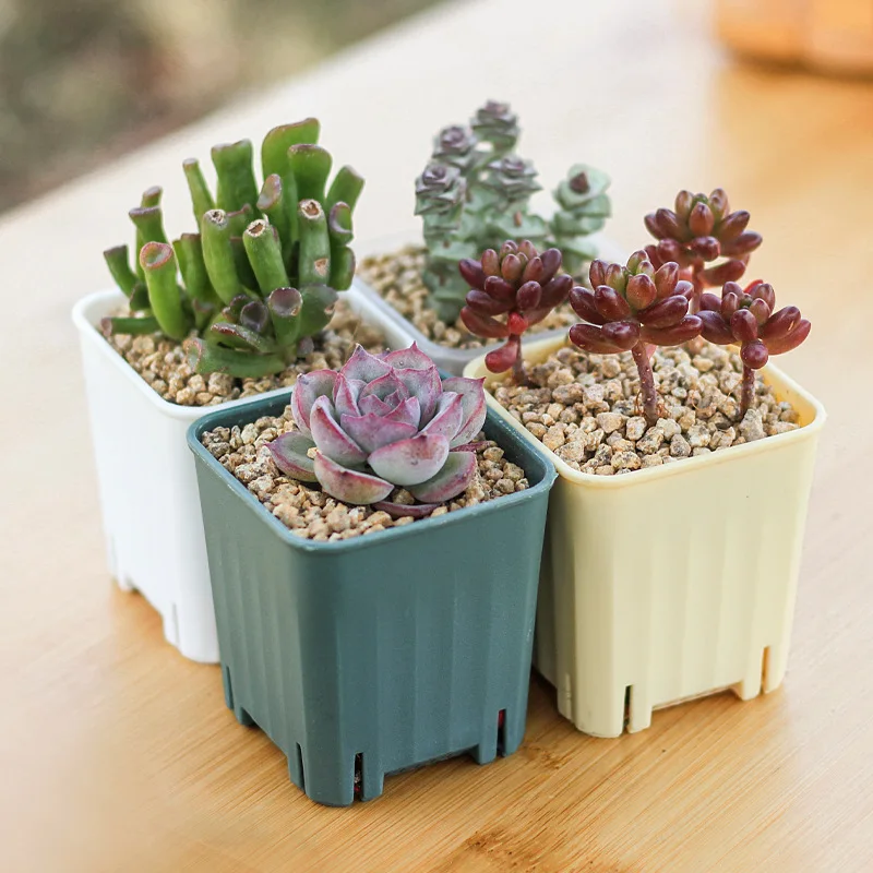 5/10/20Pcs Small Square Flowerpot Thickened Flower Succulents Plant Nursery Grow Pot Mini Cactus Planter Garden Decoration 6/8CM