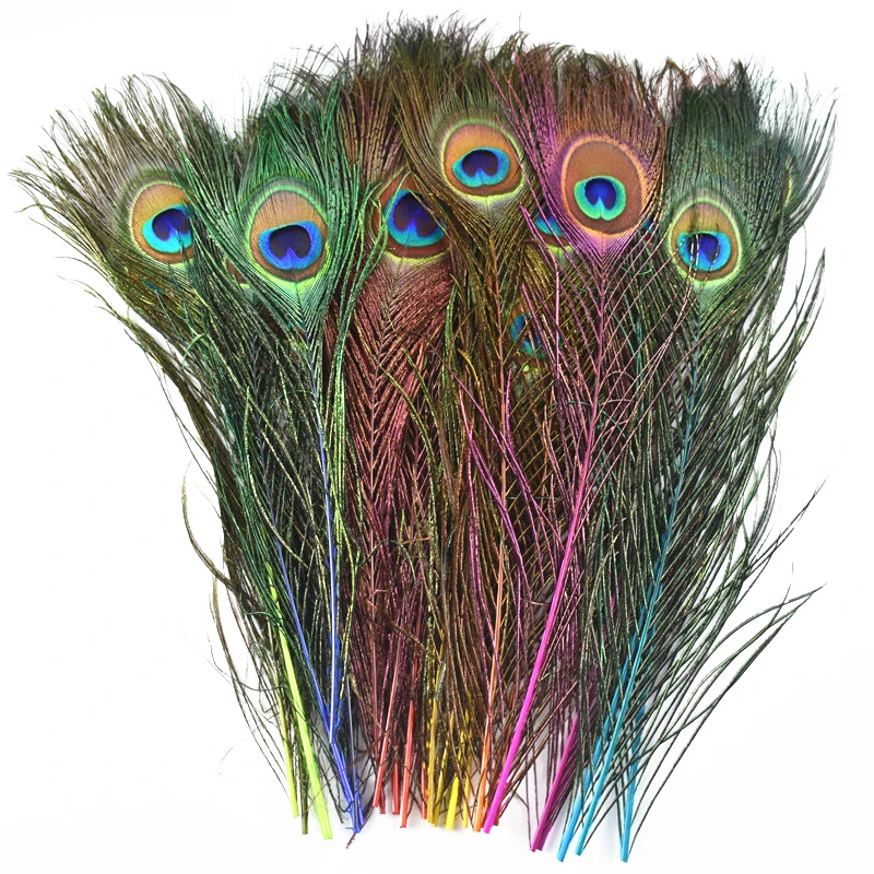 Natural Peacock Feathers, Peacock Feathers Crafts