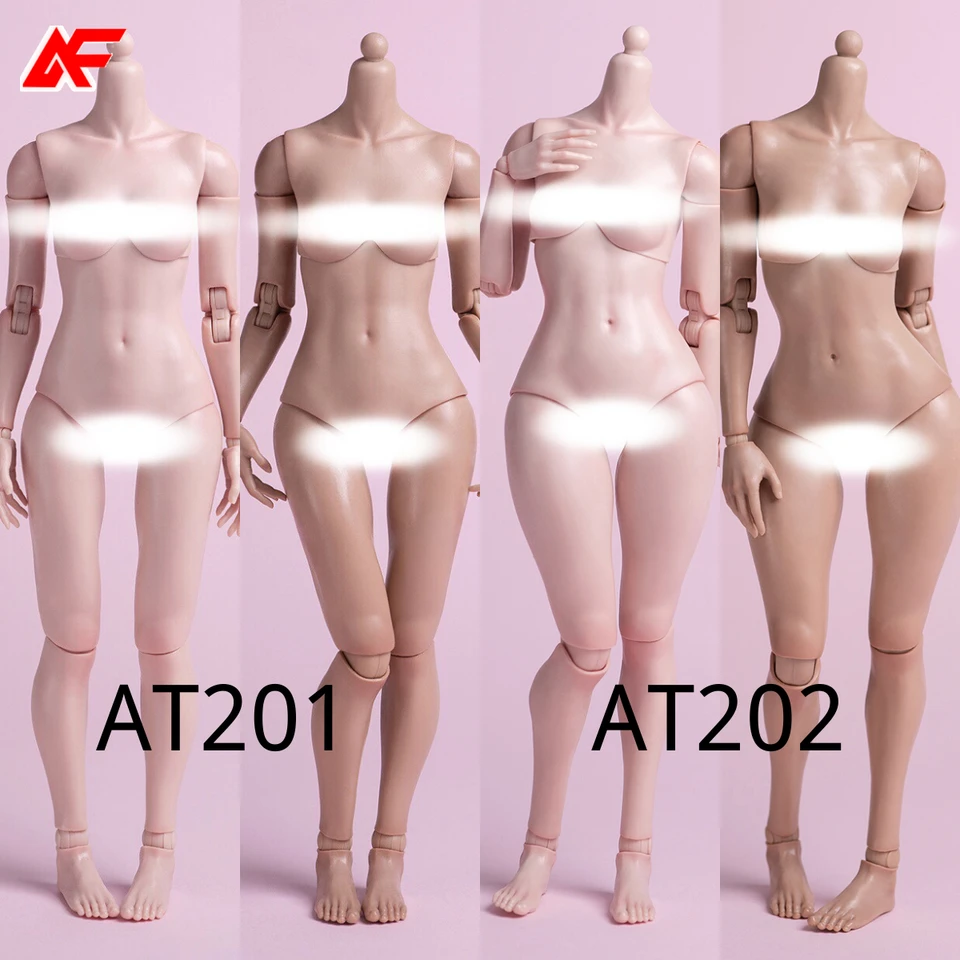 WorldBox AT202 カスタムドール Worldbox AT201 AT202 1/6 Female Flexible Body Normal Fat Leg 12