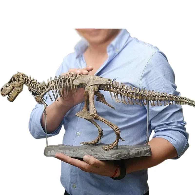 T-Rex Skeleton Model 3