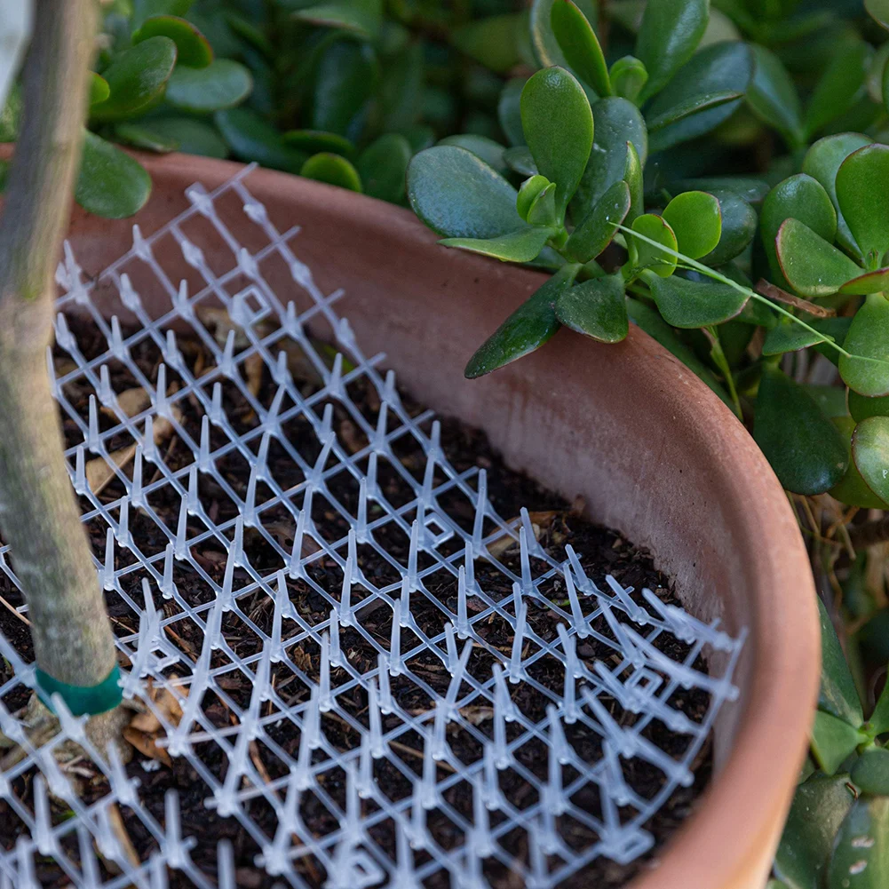 Рисунок 5 - Прочный коврик, отпугивающий пластиковый