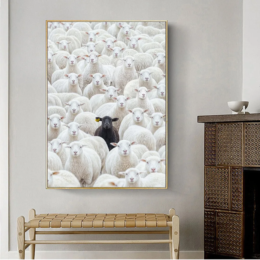 Black Sheep Canvas 3