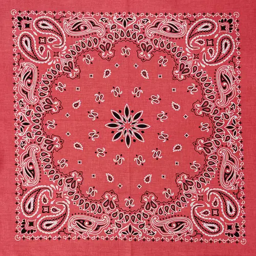 New Fashion Hip Hop 100% Cotton Bandana Square Scarf 55cm*55cm Black Red Paisley Headband Printed For Women/Men/Boys/Girls - Image 41