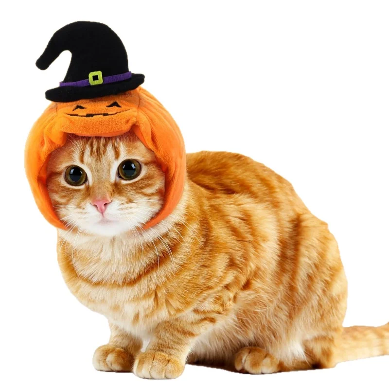 Chapeau d'halloween pour chat et chien citrouille en peluche_voghion.com