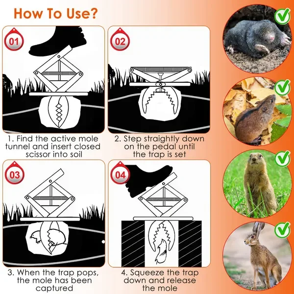 description