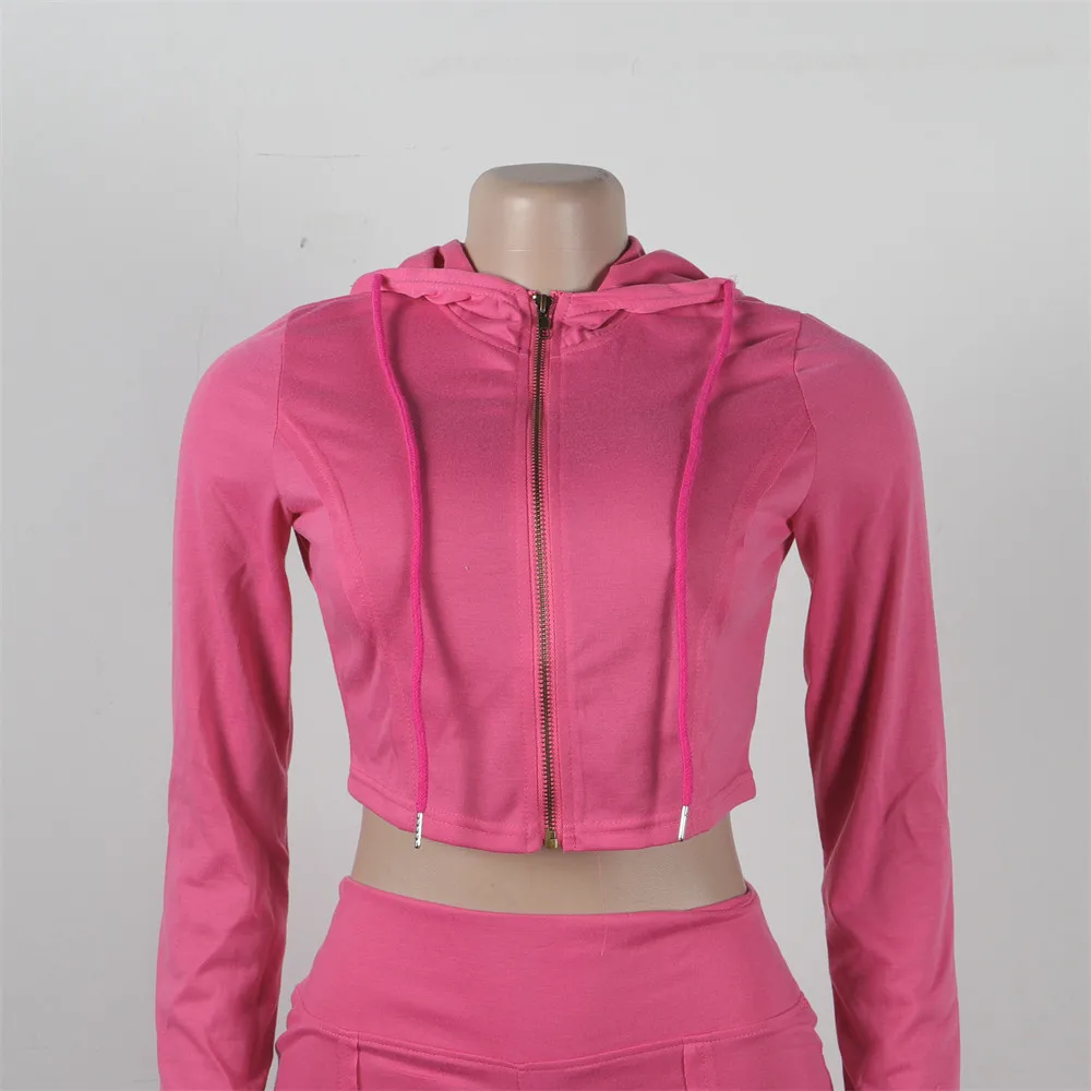 HLJ&GG Autumn Winter Solid Color Two Piece Sets Women Zipper Long Sleeve Crop Top + Wide Leg Pants Tracksuits Female 2pcs Outfit