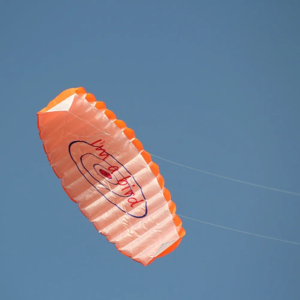 Professional Double Power Stunt Kite Dual Line 30 Meters Line 1.4m Parachute Kite Soft Flying Toy Sport Beach Kite Friend Games 5