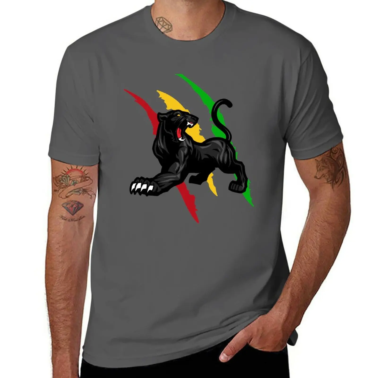 

New Panthers Artwork Fan-art T-Shirt korean fashion plus size t shirts mens clothes