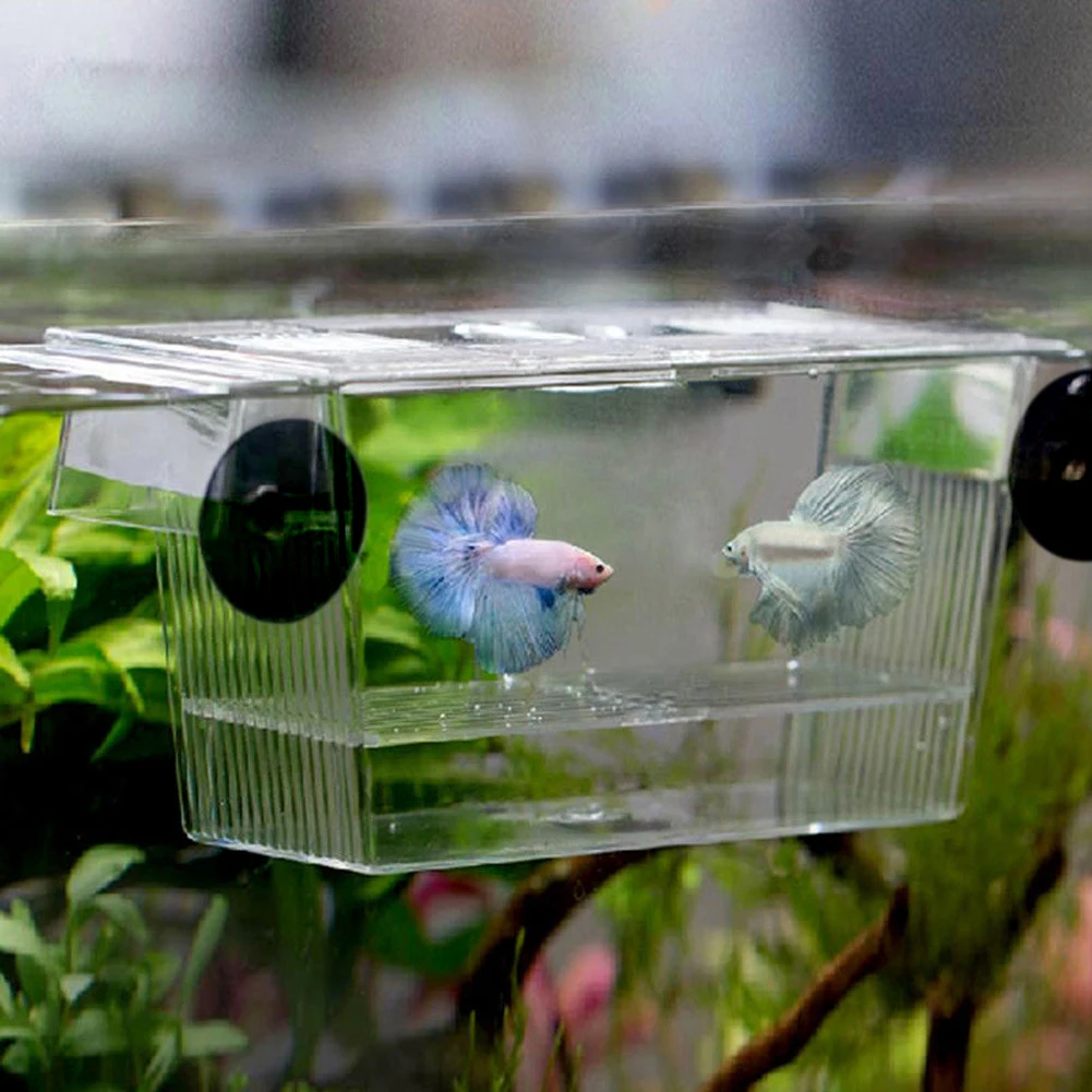 Fish Tank Isolation Box Aquarium Juvenile Fish Acrylic Breeding Incubator Holder Breeding Isolation Aquarium Hatchery