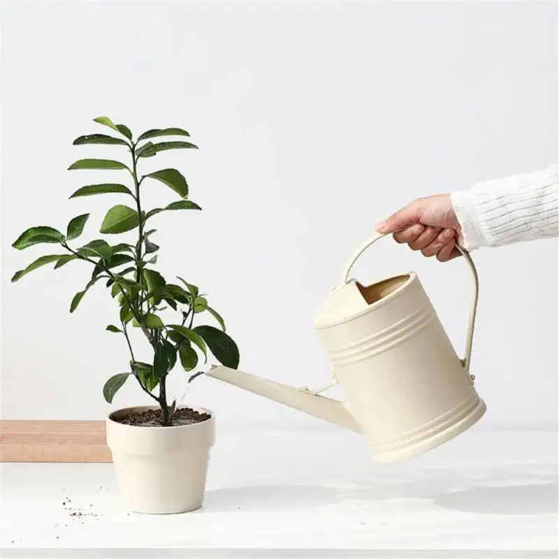 2L Vintage Watering Can Flower Kettle With Large Capacity For Home And Garden Decor Gardening Accessories Water Spraying Pot