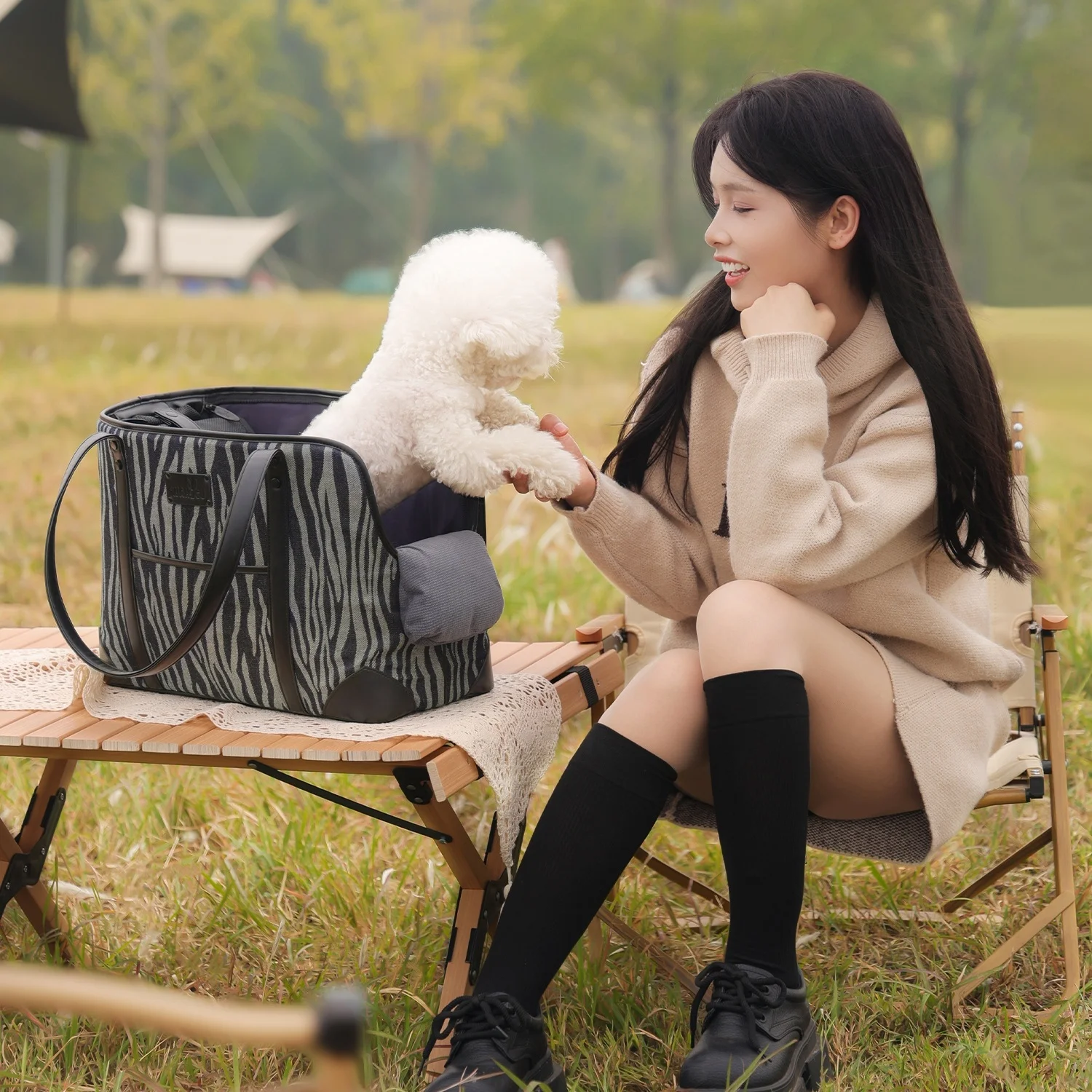 Stylish Pet Tote Bag Secure Harness Clip Large capacity breathable cat soft sided carrier bag with pillow pet Purse Carrier