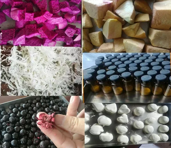 Рисунок 6 - Вакуумная сушилка Liofilizador