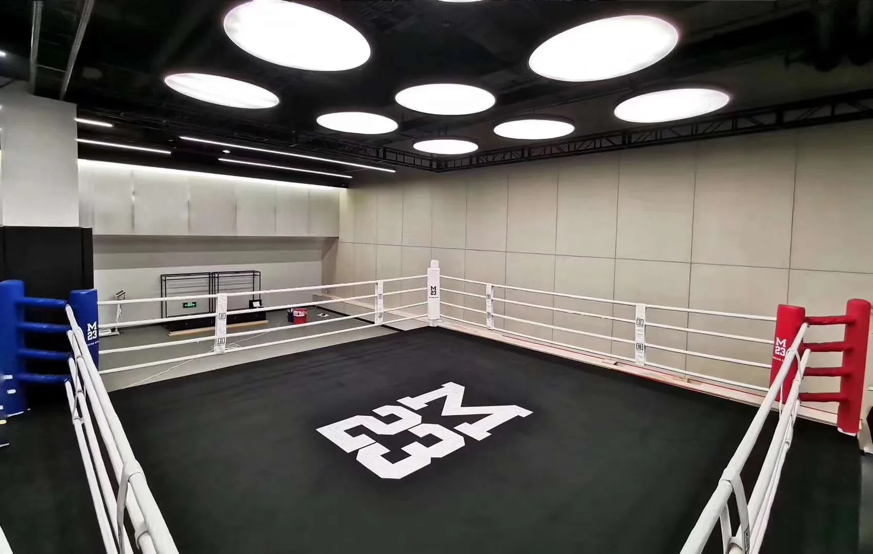 Hot Sale Custom Canvas MMA fighting| Alibaba.com