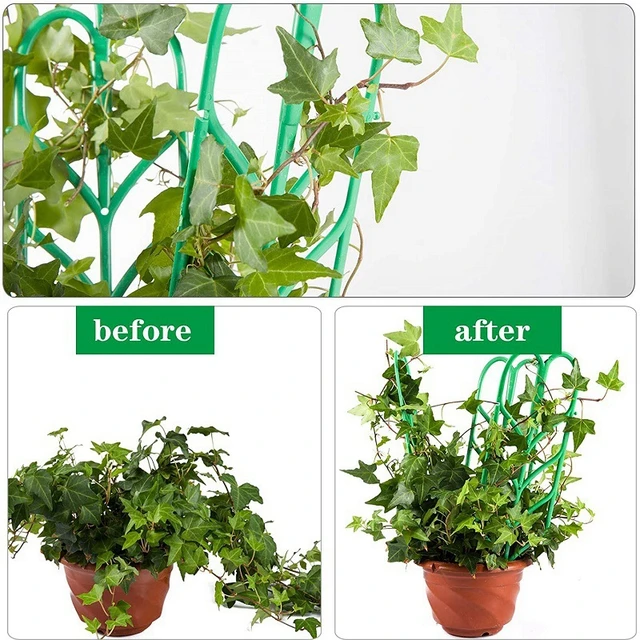Növényi Hegymászás Kert Kerti Műanyag Ketrecek Támogató Virágtartó Vine Trellis Bracket Beltéri Cserepes Rögzítő Rúd Készletek - Image 4